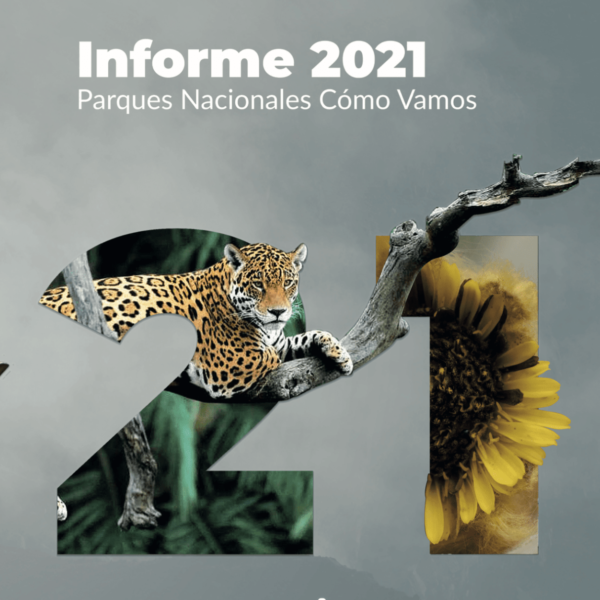 DISEÑO INFORME PARQUES NACIONALES CÓMO VAMOS Maple Agencia, Diseño Editorial 2021